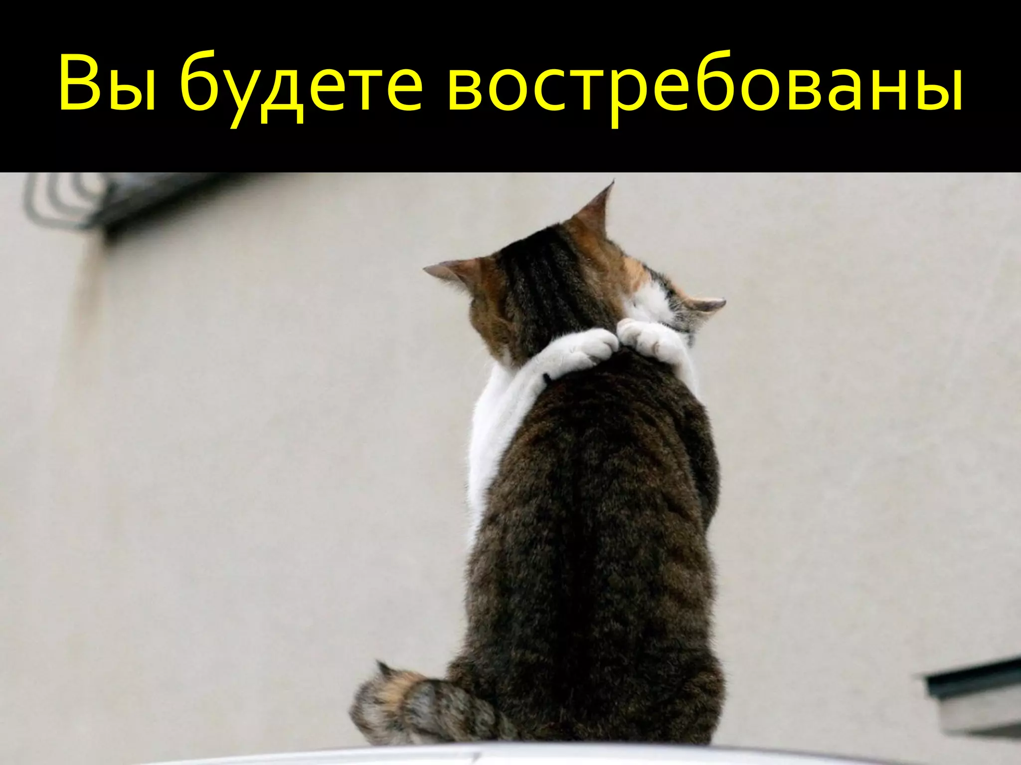 Вы будете востребованы
 