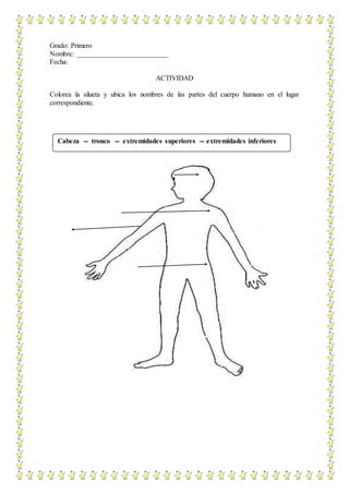 Grado: Primero
Nombre: __________________________
Fecha:
ACTIVIDAD
Colorea la silueta y ubica los nombres de las partes del cuerpo humano en el lugar
correspondiente.
Cabeza -- tronco -- extremidades superiores -- extremidades inferiores
 