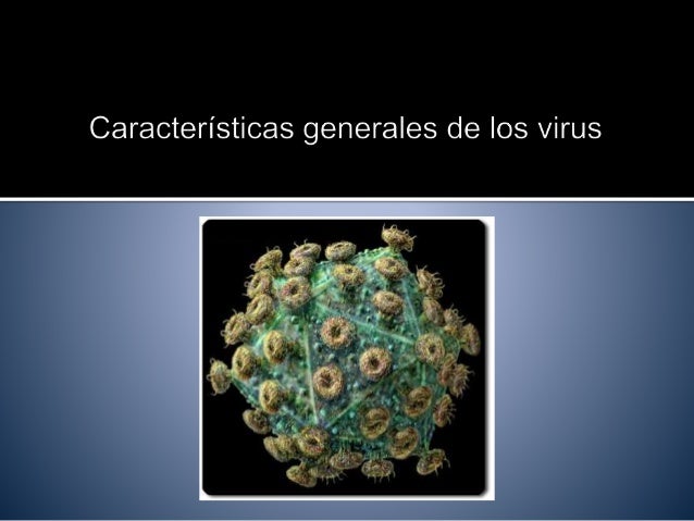 Características generales de los virus