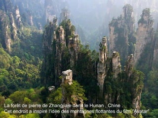 La forêt de pierre de Zhangjiaje dans le Hunan , Chine .
Cet endroit a inspiré l'idée des montagnes flottantes du film "Avatar" ..
 