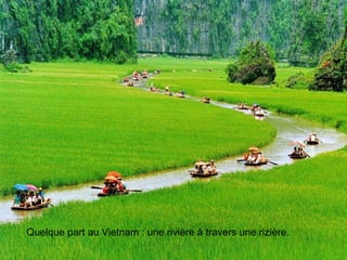 Quelque part au Vietnam : une rivière à travers une rizière.
 