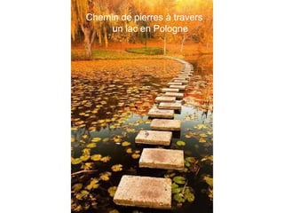 Chemin de pierres à travers
un lac en Pologne
 