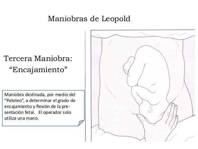 1. examen abdominal