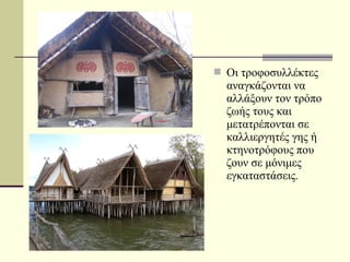  Οι τροφοσυλλέκτες
αναγκάζονται να
αλλάξουν τον τρόπο
ζωής τους και
μετατρέπονται σε
καλλιεργητές γης ή
κτηνοτρόφους που
ζουν σε μόνιμες
εγκαταστάσεις.
 