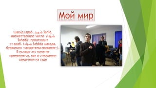 портфолио (1)