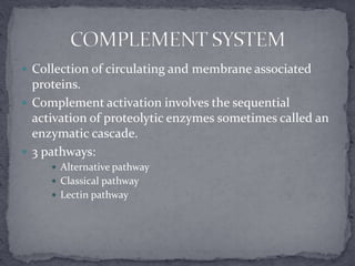 Complement Circulating Basics of Immunity | PPTX