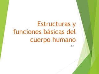 Estructuras y
funciones básicas del
cuerpo humano
1.1
 