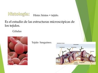 Células
Histo: histos = tejido.
Es el estudio de las estructuras microscópicas de
los tejidos.
Tejido Sanguíneo.
 