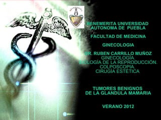 BENEMERITA UNIVERSIDAD
AUTONOMA DE PUEBLA
FACULTAD DE MEDICINA
GINECOLOGIA
DR. RUBEN CARRILLO MUÑOZ
GINECOLOGÍA.
BIOLOGÍA DE LA REPRODUCCIÓN.
COLPOSCOPIA.
CIRUGÍA ESTÉTICA
TUMORES BENIGNOS
DE LA GLANDULA MAMARIA
VERANO 2012
 