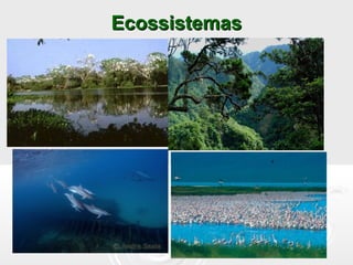 EcossistemasEcossistemas
 