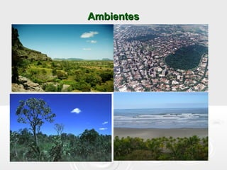AmbientesAmbientes
 