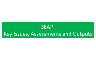 SEAP:
Key Issues, Assessments and Outputs
 