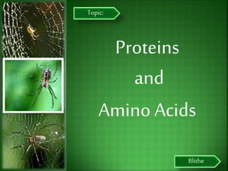 Proteins
and
Amino Acids
Blithe
Topic:
 