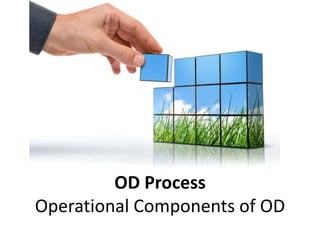 OD Process
Operational Components of OD
 