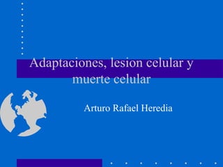 Adaptaciones, lesion celular y
muerte celular
Arturo Rafael Heredia
 