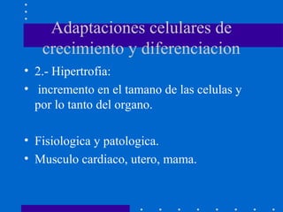 Adaptaciones celulares de
crecimiento y diferenciacion
• 2.- Hipertrofia:
• incremento en el tamano de las celulas y
por lo tanto del organo.
• Fisiologica y patologica.
• Musculo cardiaco, utero, mama.
 