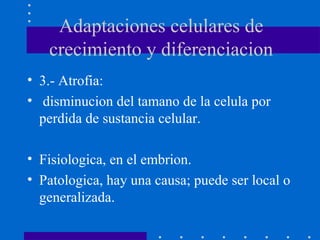 Adaptaciones celulares de
crecimiento y diferenciacion
• 3.- Atrofia:
• disminucion del tamano de la celula por
perdida de sustancia celular.
• Fisiologica, en el embrion.
• Patologica, hay una causa; puede ser local o
generalizada.
 