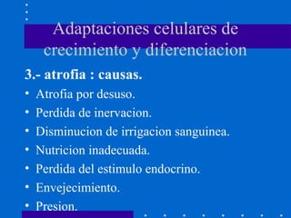 Adaptaciones celulares de
crecimiento y diferenciacion
3.- atrofia : causas.
• Atrofia por desuso.
• Perdida de inervacion.
• Disminucion de irrigacion sanguinea.
• Nutricion inadecuada.
• Perdida del estimulo endocrino.
• Envejecimiento.
• Presion.
 