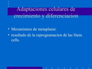 Adaptaciones celulares de
crecimiento y diferenciacion
• Mecanismos de metaplasia:
• resultado de la reprogramacion de las Stem
cells.
 