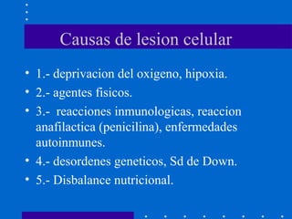 Causas de lesion celular
• 1.- deprivacion del oxigeno, hipoxia.
• 2.- agentes fisicos.
• 3.- reacciones inmunologicas, reaccion
anafilactica (penicilina), enfermedades
autoinmunes.
• 4.- desordenes geneticos, Sd de Down.
• 5.- Disbalance nutricional.
 