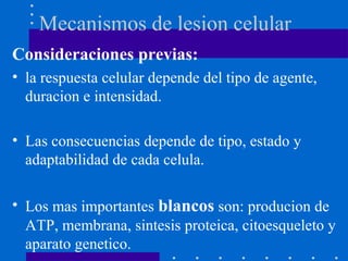 Mecanismos de lesion celular
Consideraciones previas:
• la respuesta celular depende del tipo de agente,
duracion e intensidad.
• Las consecuencias depende de tipo, estado y
adaptabilidad de cada celula.
• Los mas importantes blancos son: producion de
ATP, membrana, sintesis proteica, citoesqueleto y
aparato genetico.
 