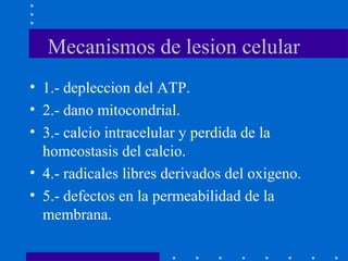 Mecanismos de lesion celular
• 1.- depleccion del ATP.
• 2.- dano mitocondrial.
• 3.- calcio intracelular y perdida de la
homeostasis del calcio.
• 4.- radicales libres derivados del oxigeno.
• 5.- defectos en la permeabilidad de la
membrana.
 