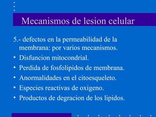 Mecanismos de lesion celular
5.- defectos en la permeabilidad de la
membrana: por varios mecanismos.
• Disfuncion mitocondrial.
• Perdida de fosfolipidos de membrana.
• Anormalidades en el citoesqueleto.
• Especies reactivas de oxigeno.
• Productos de degracion de los lipidos.
 