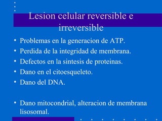 Lesion celular reversible e
irreversible
• Problemas en la generacion de ATP.
• Perdida de la integridad de membrana.
• Defectos en la sintesis de proteinas.
• Dano en el citoesqueleto.
• Dano del DNA.
• Dano mitocondrial, alteracion de membrana
lisosomal.
 