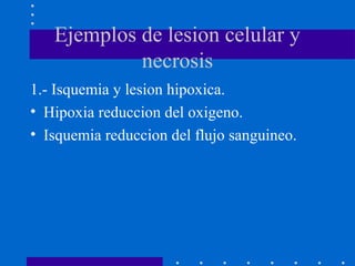 Ejemplos de lesion celular y
necrosis
1.- Isquemia y lesion hipoxica.
• Hipoxia reduccion del oxigeno.
• Isquemia reduccion del flujo sanguineo.
 