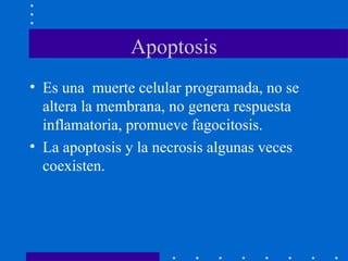 Apoptosis
• Es una muerte celular programada, no se
altera la membrana, no genera respuesta
inflamatoria, promueve fagocitosis.
• La apoptosis y la necrosis algunas veces
coexisten.
 