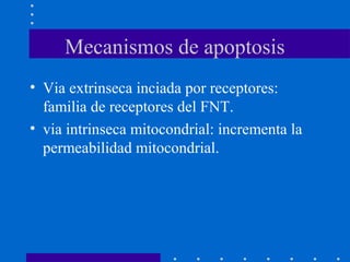 Mecanismos de apoptosis
• Via extrinseca inciada por receptores:
familia de receptores del FNT.
• via intrinseca mitocondrial: incrementa la
permeabilidad mitocondrial.
 