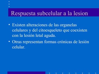 Respuesta subcelular a la lesion
• Existen alteraciones de las organelas
celulares y del citoesqueleto que coexisten
con la lesión letal aguda.
• Otras representan formas crónicas de lesión
celular.
 