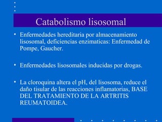 Catabolismo lisosomal
• Enfermedades hereditaria por almacenamiento
lisosomal, deficiencias enzimaticas: Enfermedad de
Pompe, Gaucher.
• Enfermedades lisosomales inducidas por drogas.
• La cloroquina altera el pH, del lisosoma, reduce el
daño tisular de las reacciones inflamatorias, BASE
DEL TRATAMIENTO DE LA ARTRITIS
REUMATOIDEA.
 