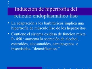 Induccion de hipertrofia del
reticulo endoplasmatico liso
• La adaptación a los barbitúricos implica una
hipertrofia de músculo liso de los hepatocitos.
• Contiene el sistema oxidasa de funcion mixta
P- 450 : aumenta la secreción de alcohol,
esteroides, eicosanoides, carcinogenos e
insectisidas. “detoxification.”
 