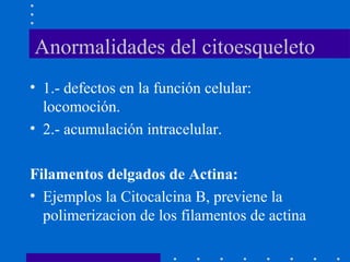 Anormalidades del citoesqueleto
• 1.- defectos en la función celular:
locomoción.
• 2.- acumulación intracelular.
Filamentos delgados de Actina:
• Ejemplos la Citocalcina B, previene la
polimerizacion de los filamentos de actina
 