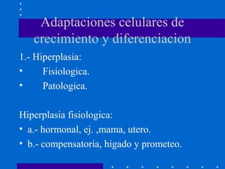 Adaptaciones celulares de
crecimiento y diferenciacion
1.- Hiperplasia:
• Fisiologica.
• Patologica.
Hiperplasia fisiologica:
• a.- hormonal, ej. ,mama, utero.
• b.- compensatoria, higado y prometeo.
 