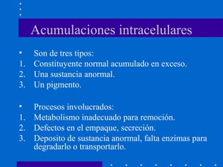 Acumulaciones intracelulares
• Son de tres tipos:
1. Constituyente normal acumulado en exceso.
2. Una sustancia anormal.
3. Un pigmento.
• Procesos involucrados:
1. Metabolismo inadecuado para remoción.
2. Defectos en el empaque, secreción.
3. Deposito de sustancia anormal, falta enzimas para
degradarlo o transportarlo.
 