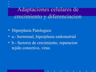 Adaptaciones celulares de
crecimiento y diferenciacion
• Hiperplasia Patologica:
• a.- hormonal, hiperplasia endometrial
• b.- factores de crecimiento, reparacion
tejido conectivo, virus
 