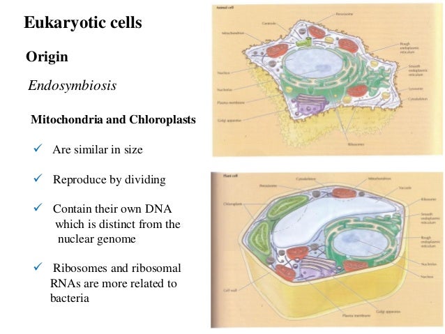 1.overview.cell biology