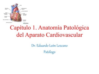 Capítulo 1. Anatomía Patológica
del Aparato Cardiovascular
Dr. Eduardo León Lezcano
Patólogo
 
