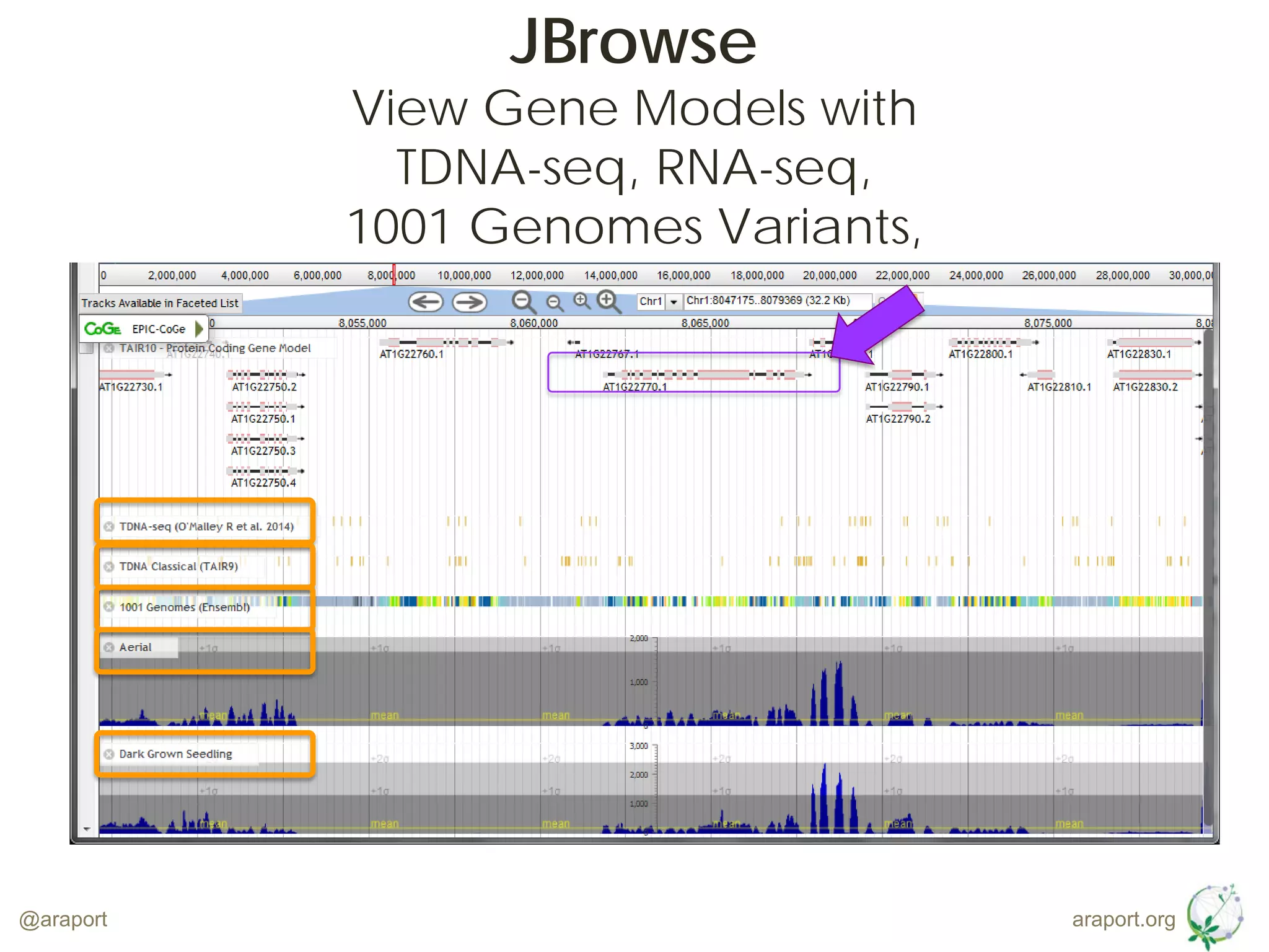 araport.org@araport
JBrowse
View Gene Models with
TDNA-seq, RNA-seq,
1001 Genomes Variants,
 