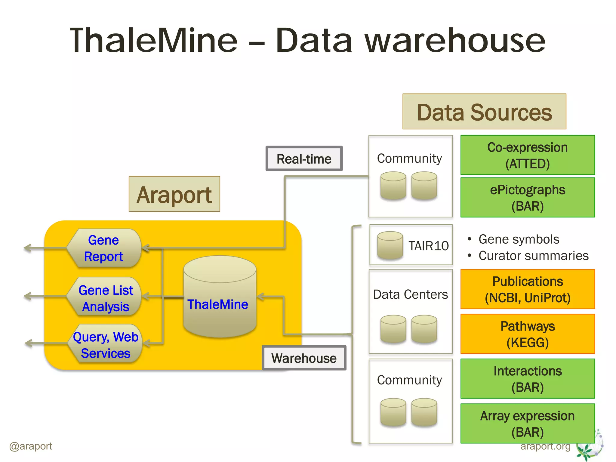 araport.org@araport
Community
Co-expression
(ATTED)
ePictographs
(BAR)
Real-time
Data Centers
Community
Interactions
(BAR)
Array expression
(BAR)
Publications
(NCBI, UniProt)
Pathways
(KEGG)
TAIR10 • Gene symbols
• Curator summaries
ThaleMine
Gene List
Analysis
Gene
Report
Query, Web
Services
ThaleMine – Data warehouse
Warehouse
Araport
Data Sources
 