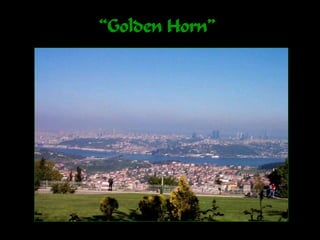 “Golden Horn”
 
