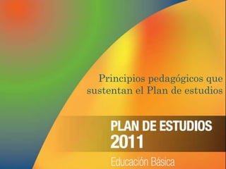 Principios pedagógicos que
sustentan el Plan de estudios
 