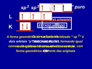K
L
ESTADO ATIVADO
ou
EXCITADO
Ocorre a fusão de
dois orbitais “p” com o orbital “s”, formando igual
número de orbitais híbridos idênticos entre si, com
forma geométrica diferente das originais
ESTADO HÍBRIDO
sp2sp2 “p” purosp2
A forma geométrica do carbono hibridizado “ sp “ é
TRIGONAL PLANA
e o ângulo entre as suas valências é de
120°
2
 