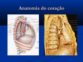Anatomia do coraçãoAnatomia do coração
 