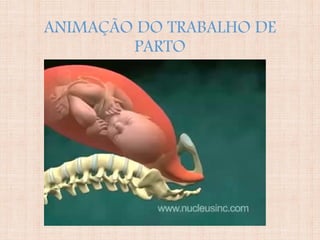 ANIMAÇÃO DO TRABALHO DE
PARTO
 
