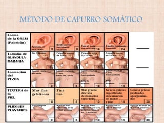MÉTODO DE CAPURRO SOMÁTICO
 