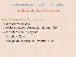 Assistência ao Recém – Nascido
Avaliação da Idade Gestacional
Método Somático-Neurológico:
-4 caracteres físicos
anteriores exceto formação do mamilo
-2 caracteres neurológicos
- Sinal do Xale
- Posição da cabeça ao levantar o RN
 