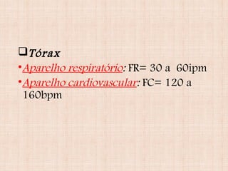 Tórax
•Aparelho respiratório: FR= 30 a 60ipm
•Aparelho cardiovascular: FC= 120 a
160bpm
 